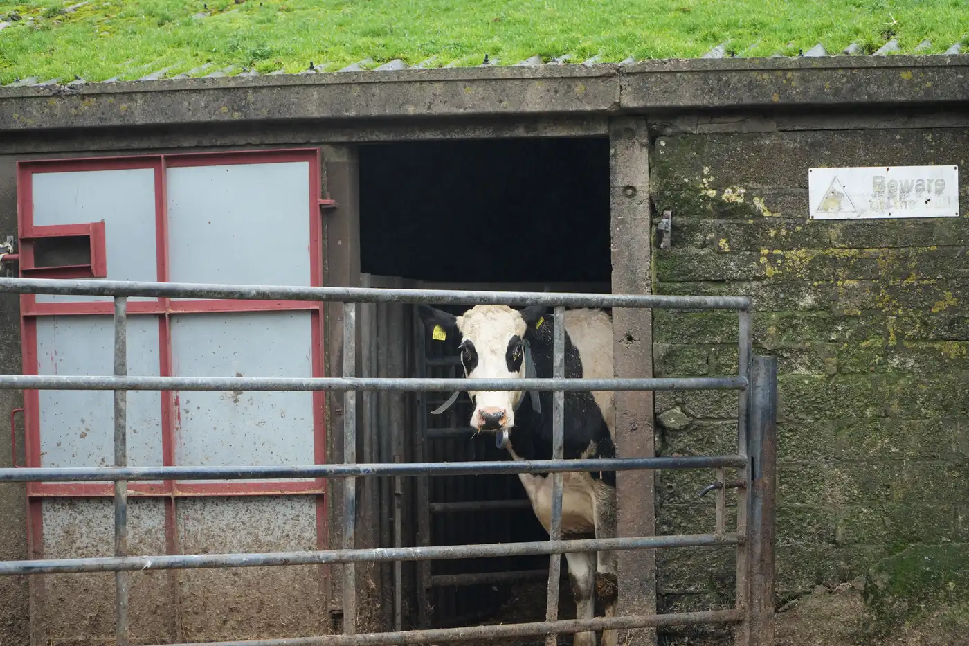 Milking + cooling powered by solar & battery