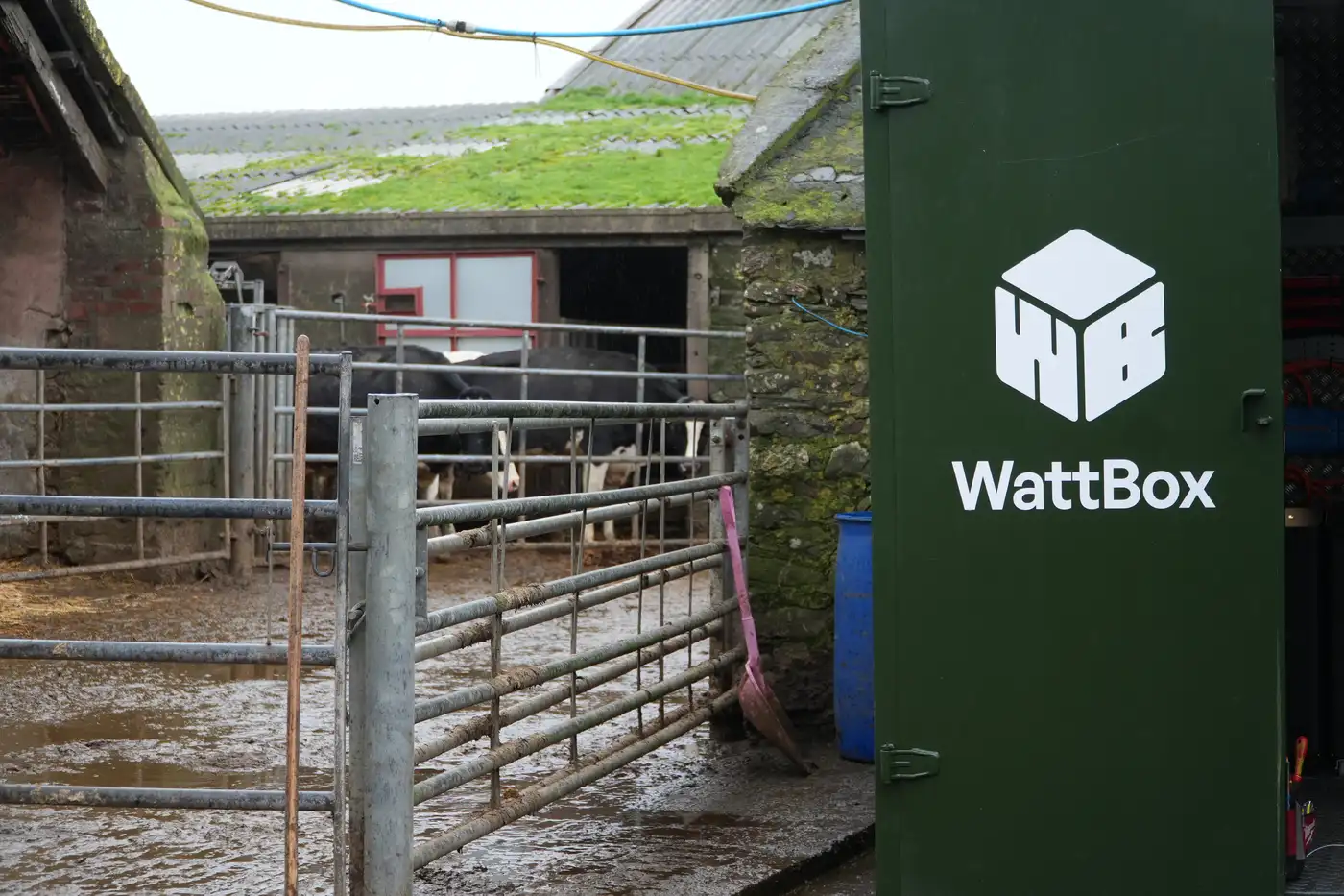 A WattBox unit installed in a Cornish farm courtyard